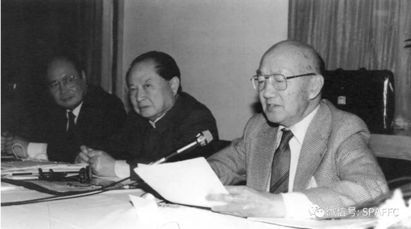 1725083028174363.png 040301-林同炎先生与时任上海市市委书记江泽民研讨浦东开发(2).png