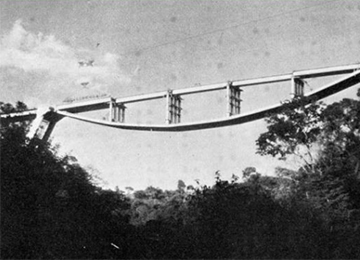 Rio Colorado Bridge Bernardo